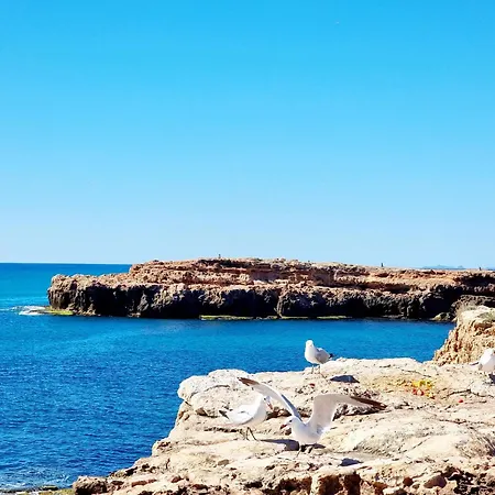 Vakantiehuis Anchor House 5 Min From The Sea *